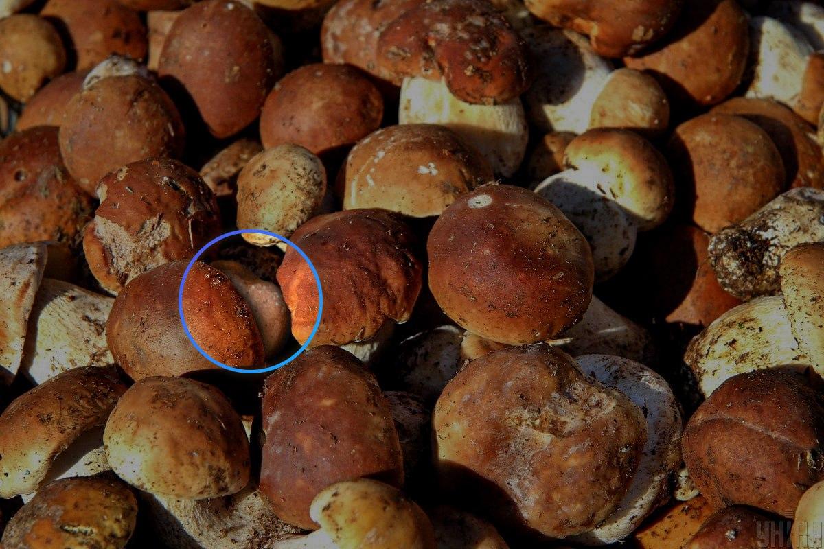 Kamień znajdował się prawie w centrum iluzji optycznej / kolaż Moje