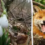 Iluzja optyczna pokaże ci, jakie jest twoje IQ: musisz znaleźć