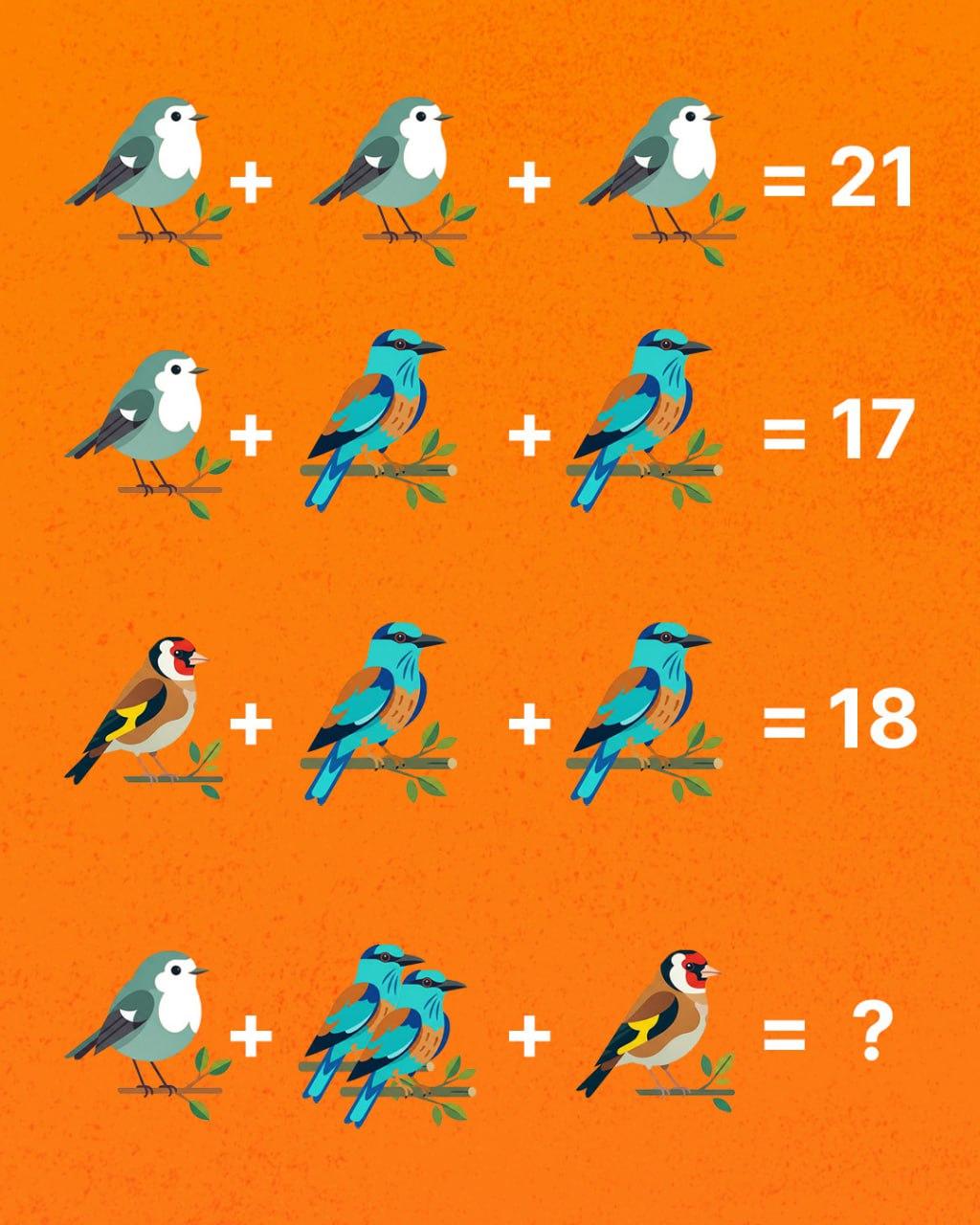 Tylko geniusz może policzyć wszystkie ptaki: zaskakująco trudna łamigłówka