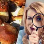 Tylko ludzie z super mocnym IQ zobaczą kamień wśród grzybów