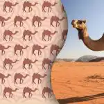 Tylko współcześni Sherlockowie Holmesowie odnajdą dziwnego wielbłąda: zagadka dla najbardziej