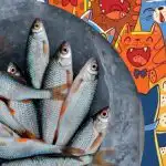 Znajdź rybę wśród kotów: zabawna łamigłówka dla osób o orlim